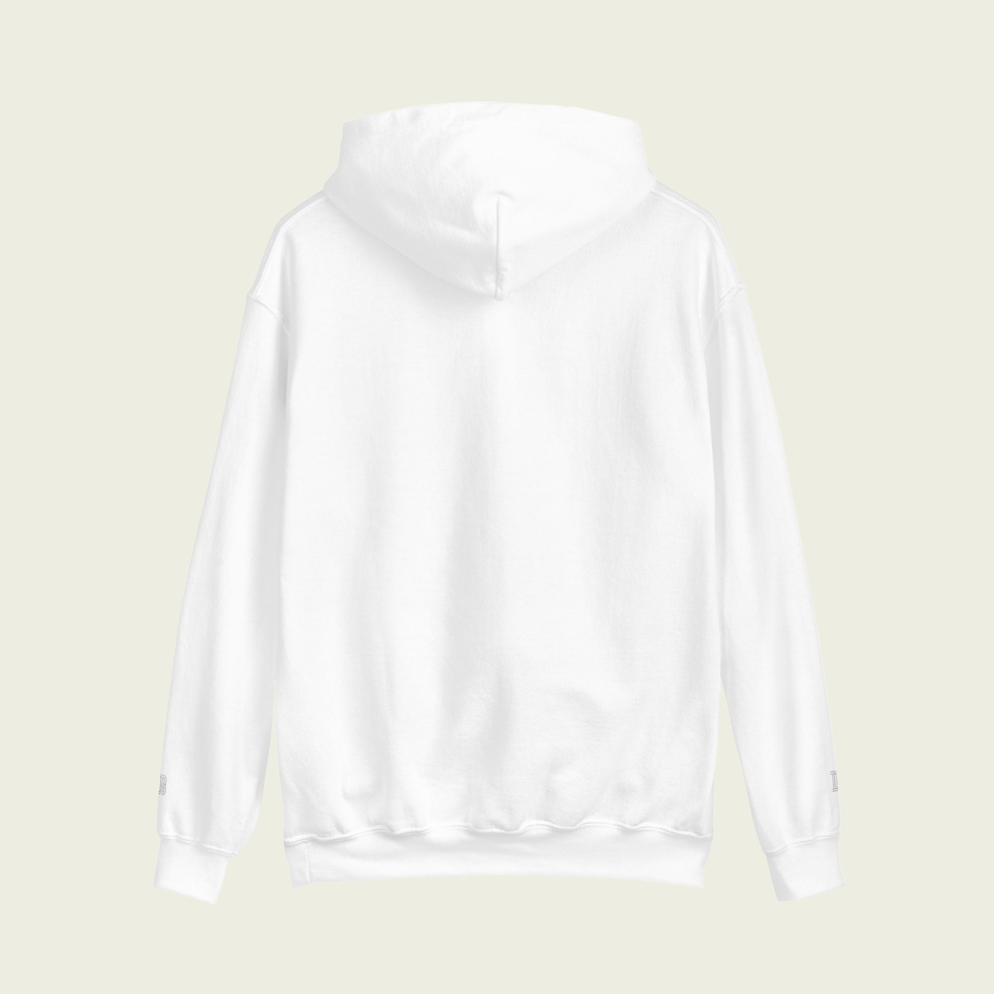 A white heavy blend hoodie with the text Papaya Rules in orange on the front in the center.